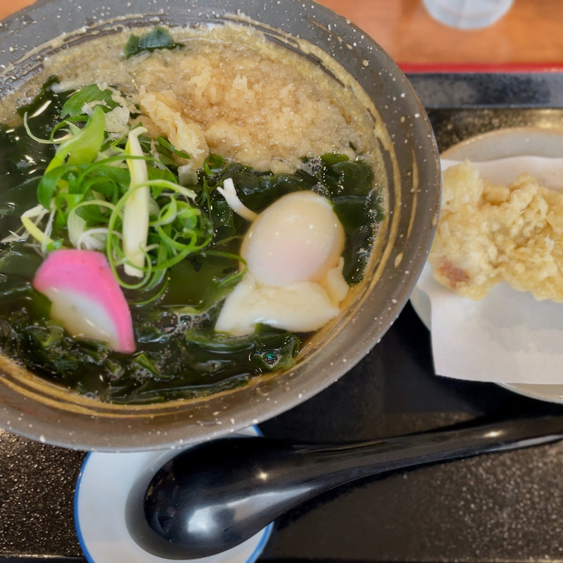 わかめうどん+温玉、とり天(うどん松もと )