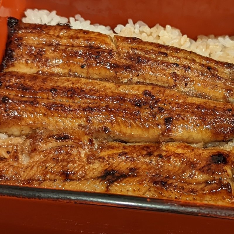 うな重（松）(蒲焼 和田平 玉川店)