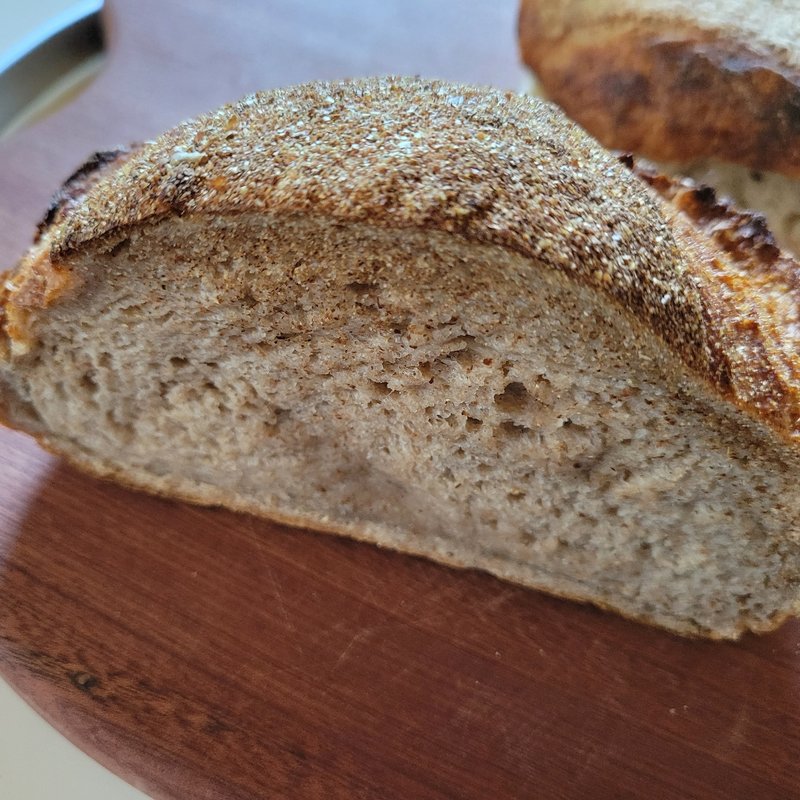 秦野産小麦自家製粉コンプレ

ハーフ(ブレッドイットビー)