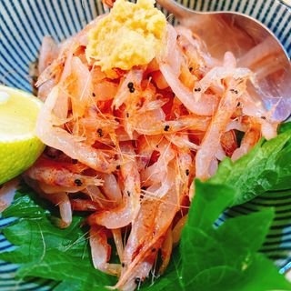 生　桜えび(うまいサケうまいアテ サツマヤ)