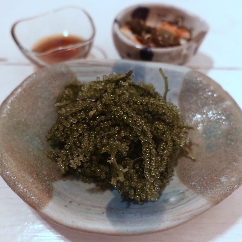 海ぶどう(海風よ )