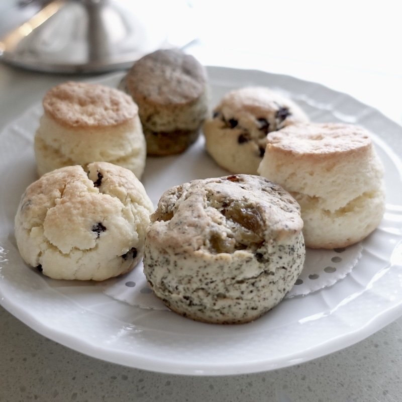 スコーン(マロード(Maroad))