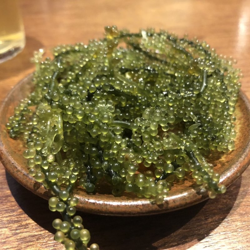 海ぶどう(Ryukyu Chinese Stand TAMA)