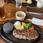 (セロリ畑)