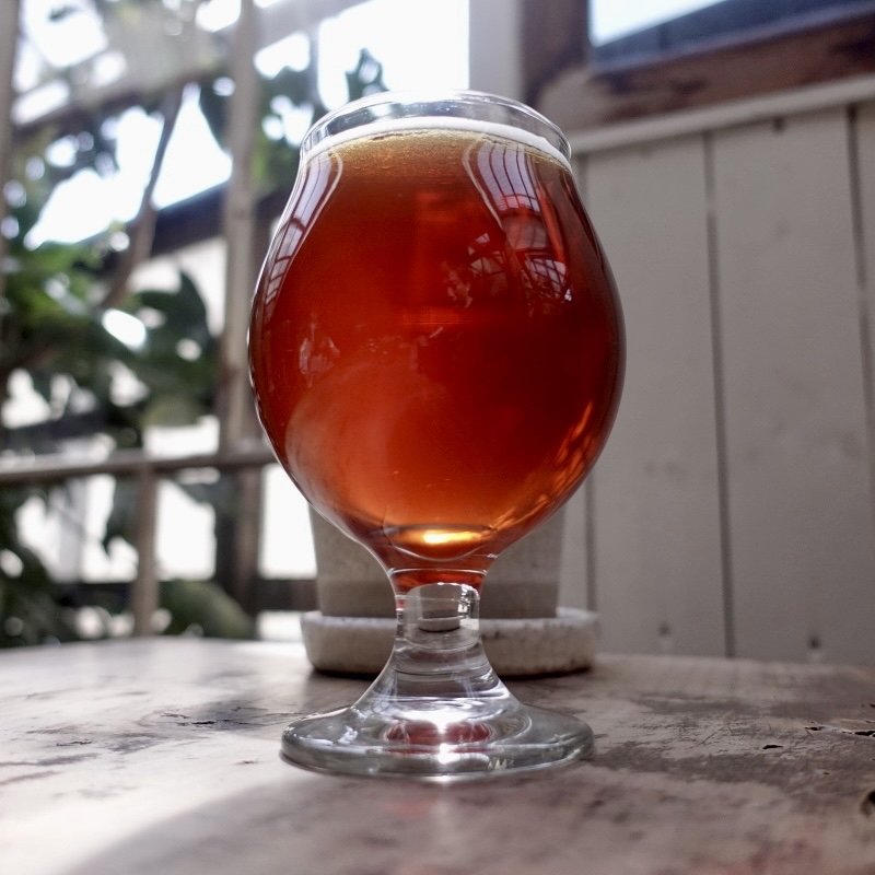 Yorocco / Dunkel Lager(Beach Muffin)