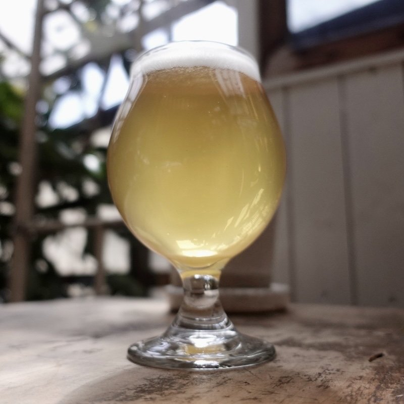 Yorocco / Spring Thunder(Beach Muffin)