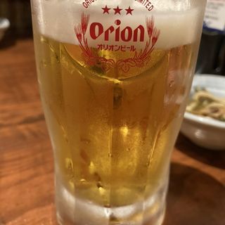 オリオン生ビール(波照間 国際通り店 （ハテルマ）)
