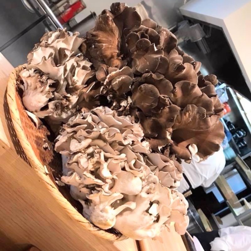 舞茸天(しんばし )