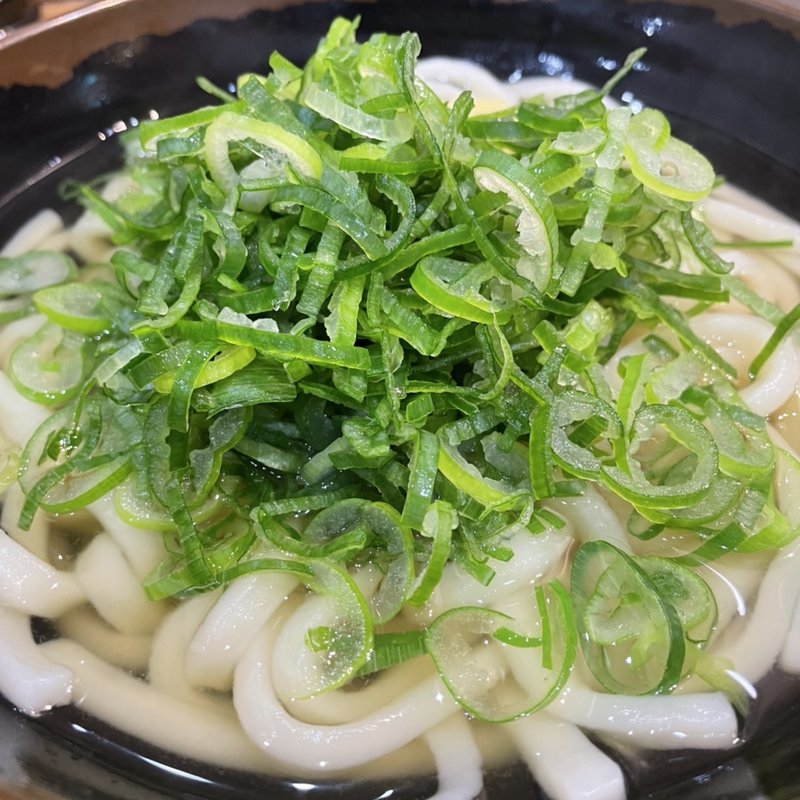ねぎ盛りうどん、(本場さぬきうどん めりけんや 武蔵小杉店)