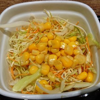 生野菜サラダ(吉野家 川崎駅前店)
