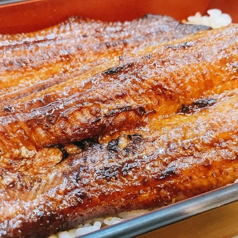 うな重特上(炭火焼うなぎ 加茂)