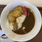 ほろほろチキンカレー(すき家 相模原小町通店)