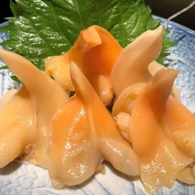 あおやぎ刺身(代官山 やまびこ )