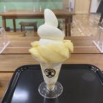 ソフトクリーム(幸田町の桃)(魚又)