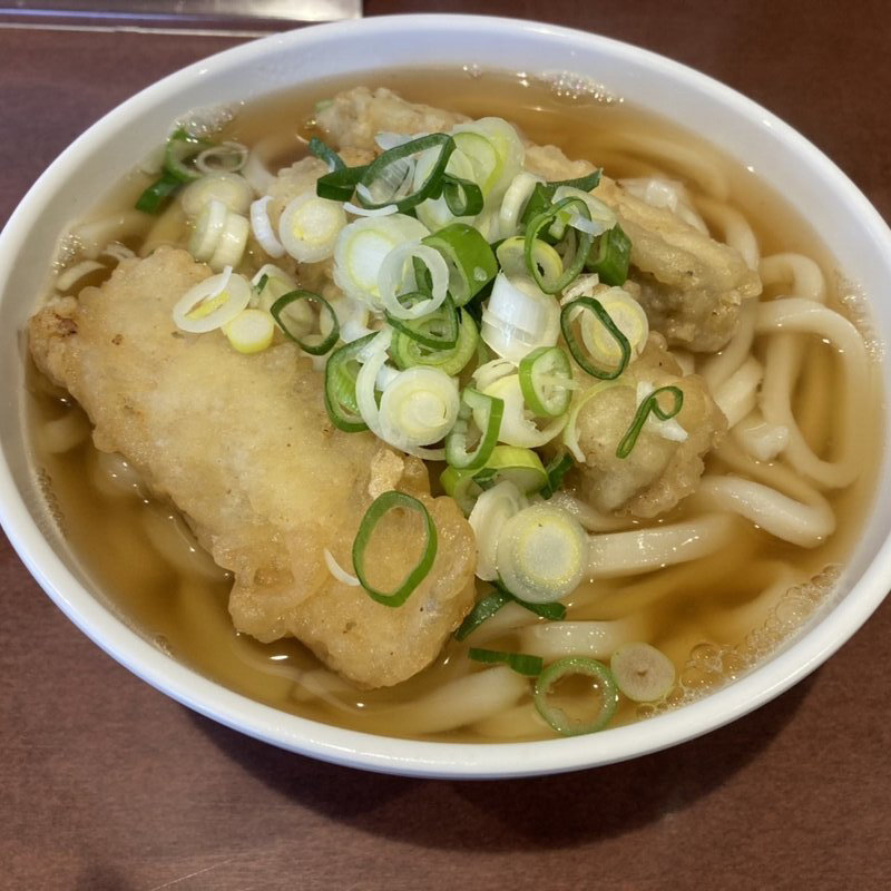 ごぼう天うどん(更新うどん)