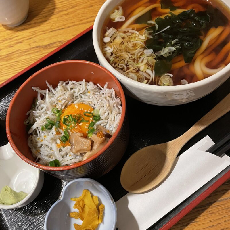 ミニしらす丼とうどん御膳(海ぶね ダイニング)