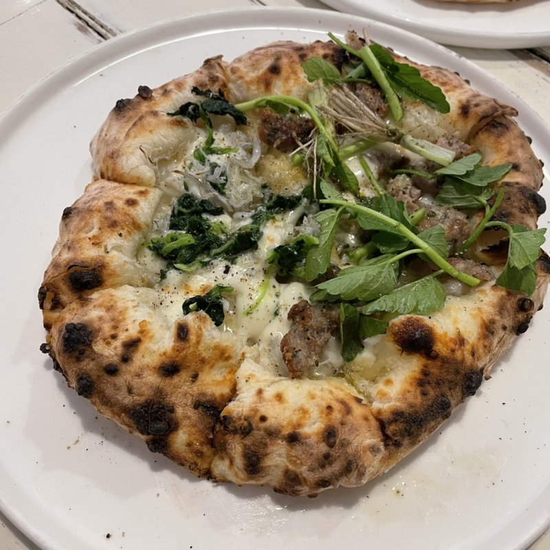 (ドットーレ （Dottore）)