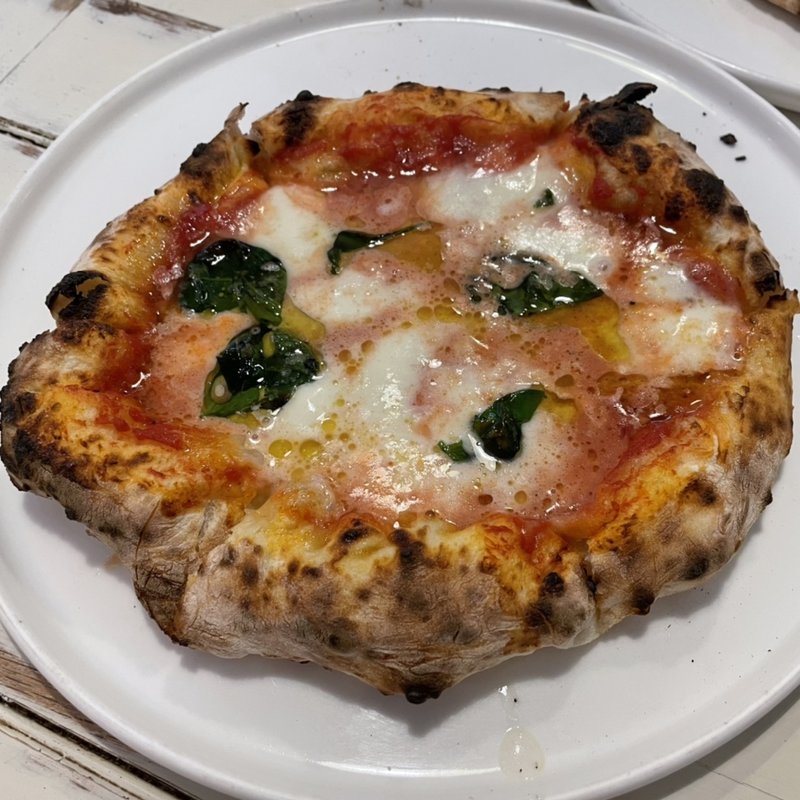 もうひとつのドットーレ(ドットーレ （Dottore）)