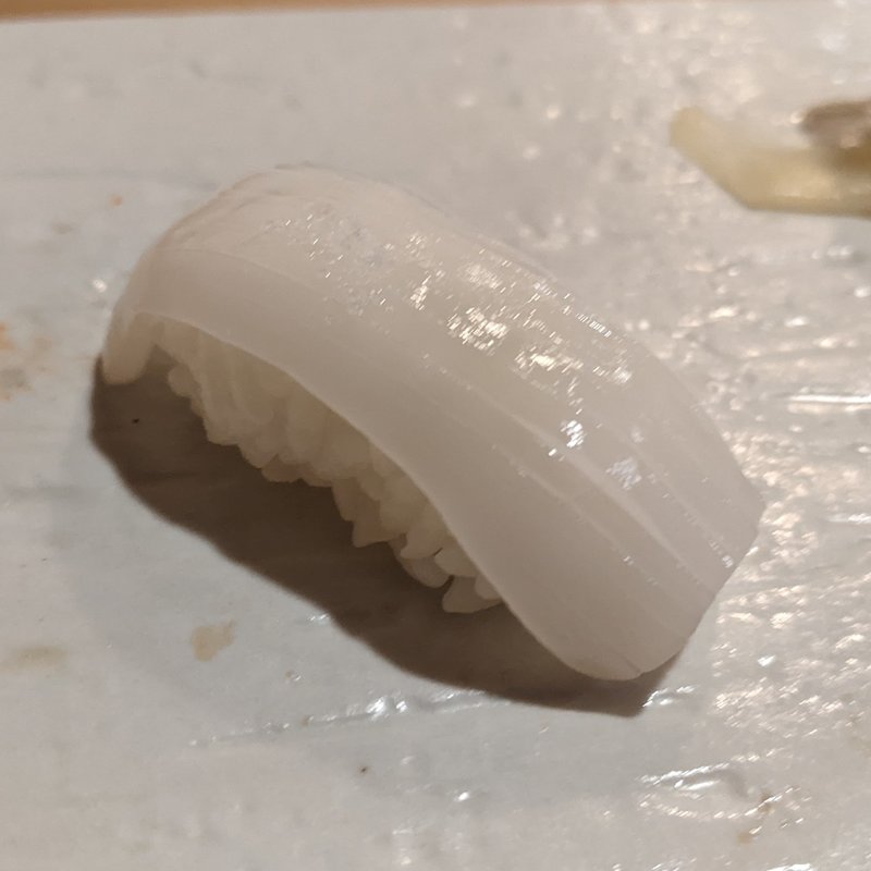 ヤリイカ(鮨 波づき)