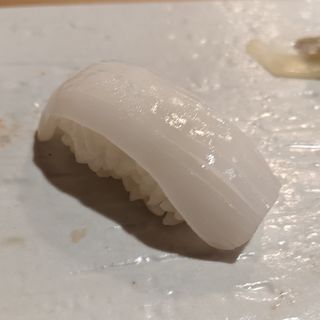 ヤリイカ(鮨 波づき)