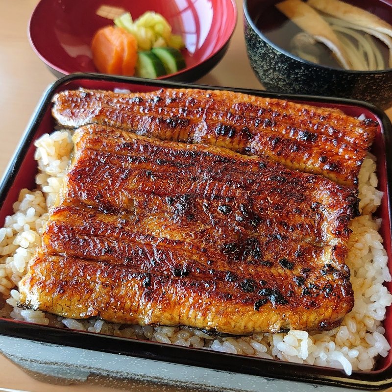 うな重 上＋大盛り(鶴舞家 （つるまいや）)