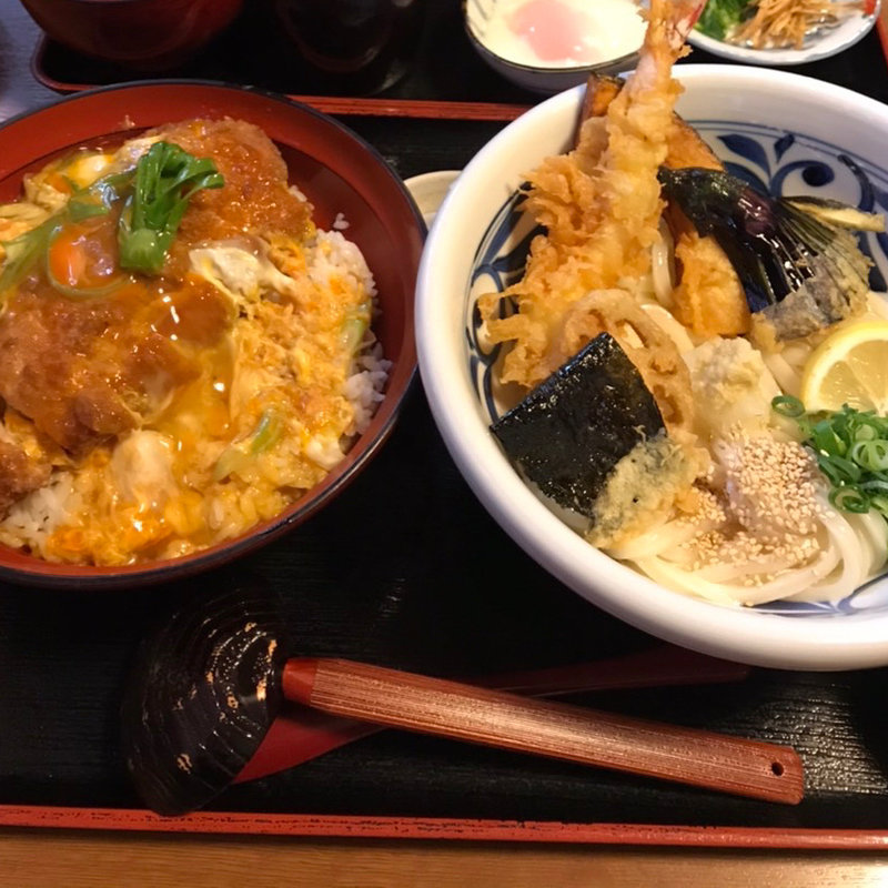 (とり天ぶっかけと鴨釜うどん 麺匠 やしま)