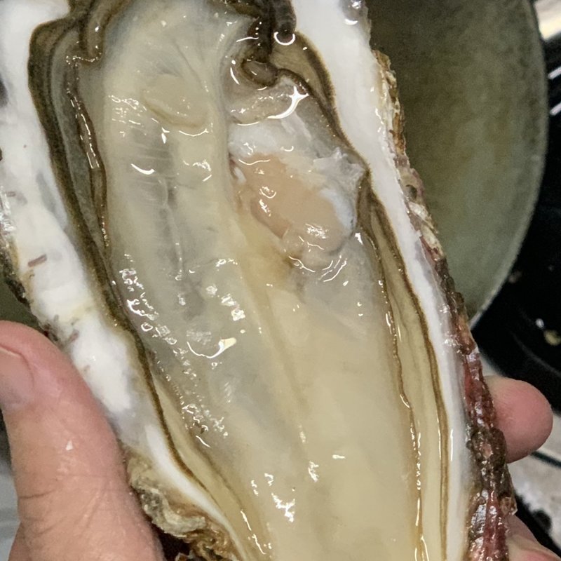 岩手県「赤崎」産セル牡蠣(ナルミ杉本)