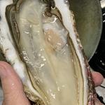 岩手県「赤崎」産セル牡蠣