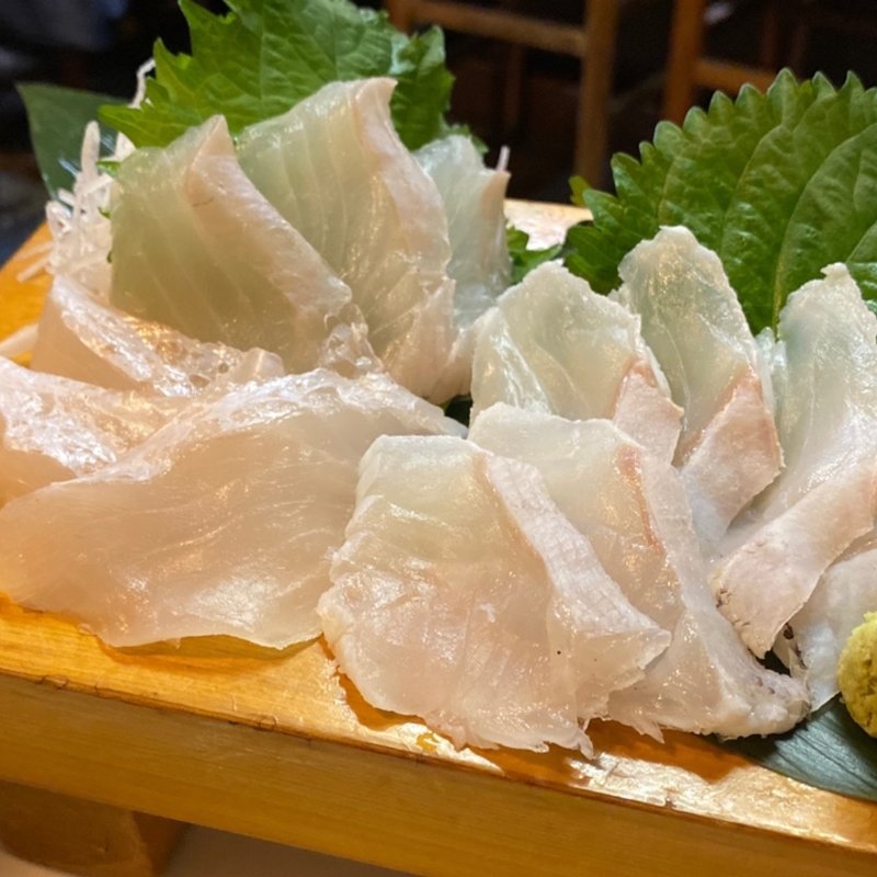 クエの刺身(とも家)