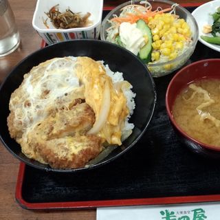 カツ丼(大衆食堂 半田屋 東口BiVi店 )
