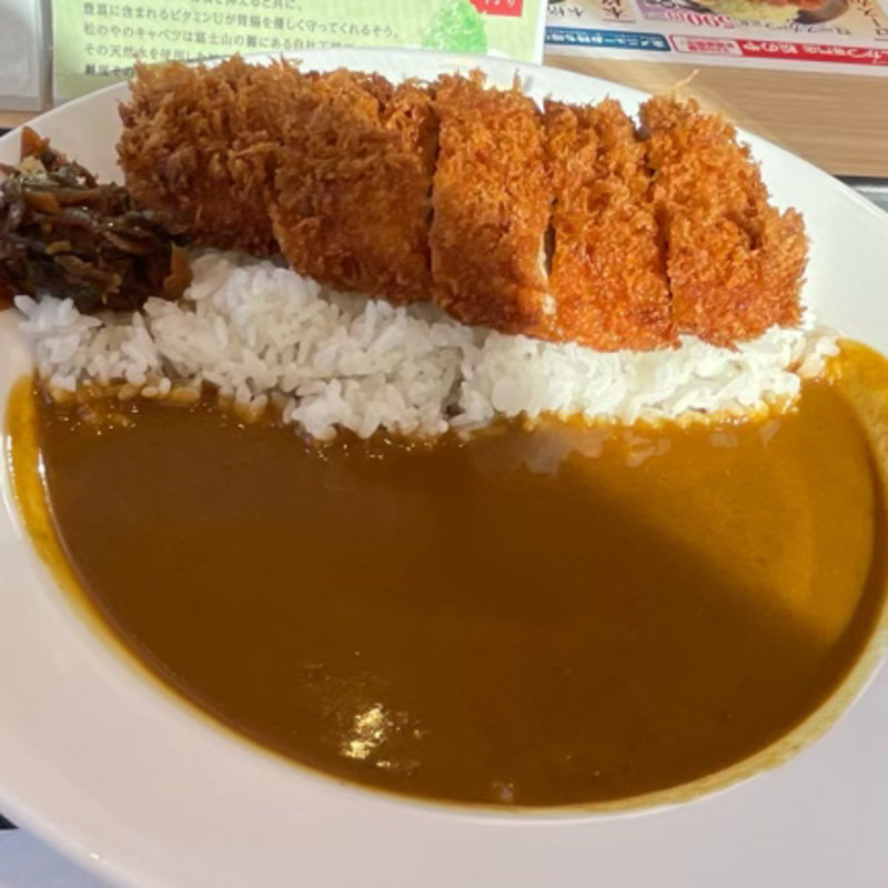 ロースかつカレー(松乃家 下永谷店)