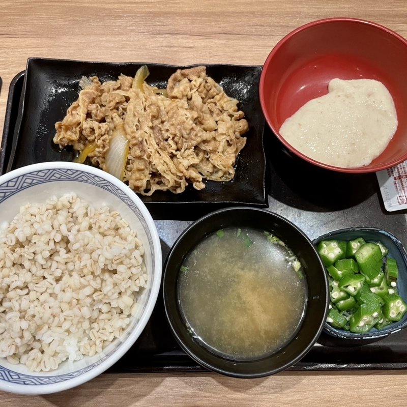 牛皿麦とろ御前(吉野家 港町店)