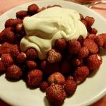 Fruits Rouges (selon arrivage)