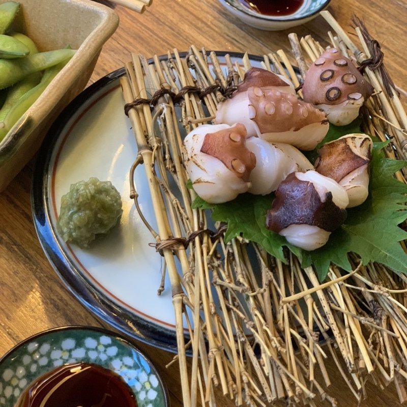 (ニカイノオアシス)