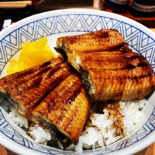 鰻丼(沼津魚がし寿司)