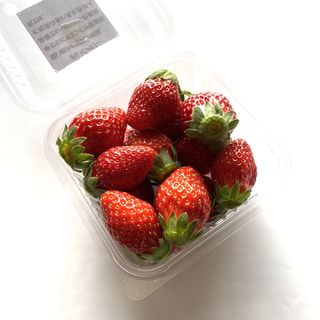 おいCベリー(赤レンガ倉庫　ストロベリーフェスティバル)