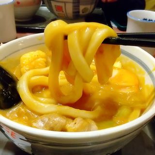 カレーうどん(若鯱家イオンモール川口前川店)