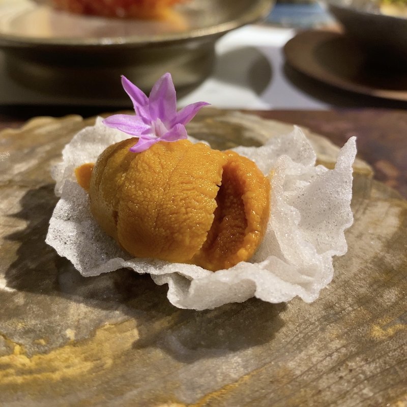 生雲丹(ラ・ヴァガボンド （LA VAGABONDE）)