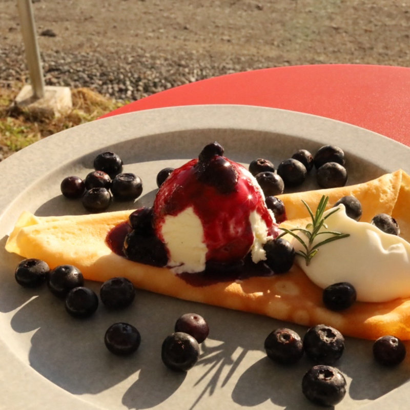 ブルーベリーのクレープ(はなぶさ有機農園)