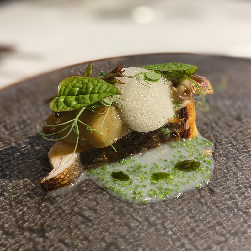 真名鰹(ラ・ヴァガボンド （LA VAGABONDE）)