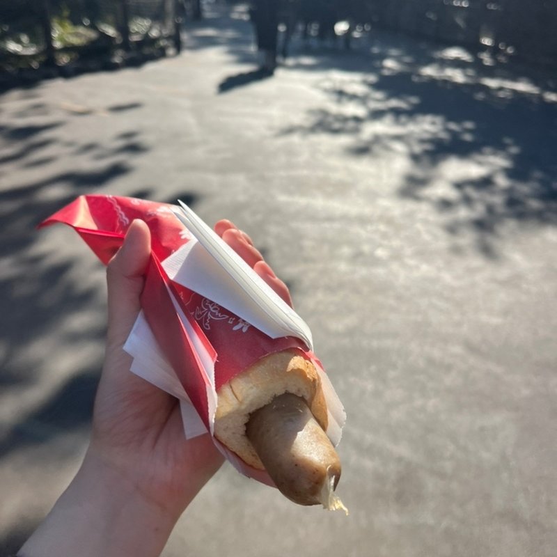 ユカタンドッグ(ディズニーシー)