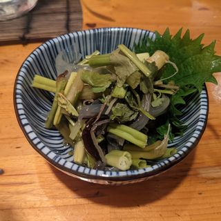 生クラゲとセリのなま酢(鳥酎 )