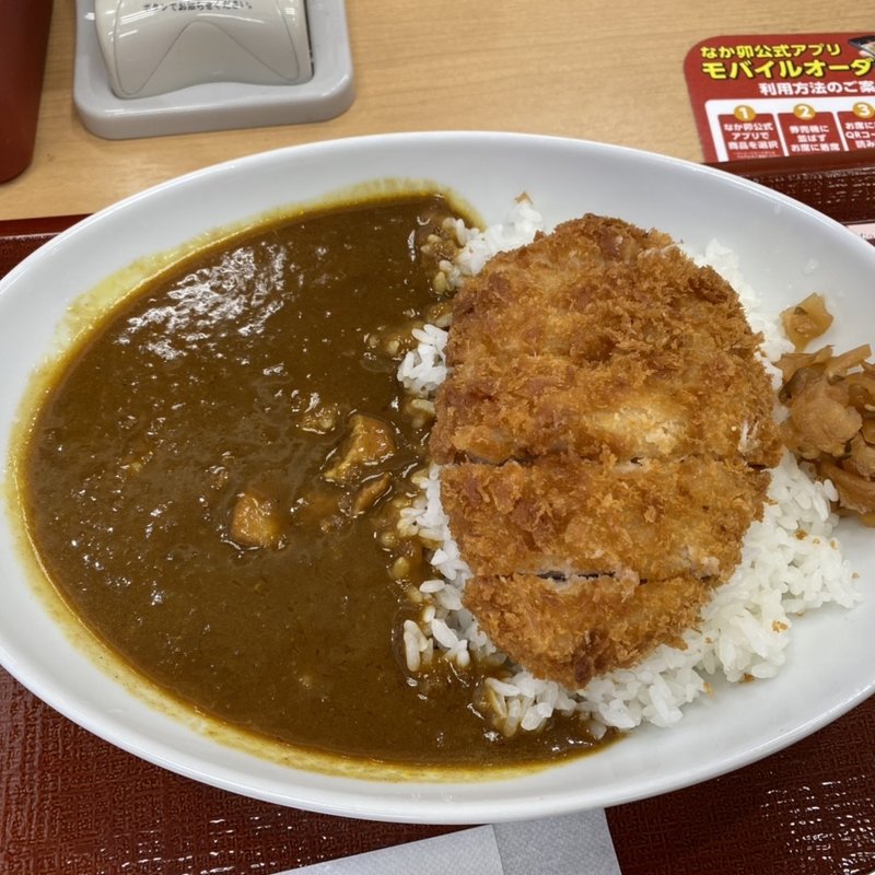 チキンカツカレー(なか卯 喜連瓜破店 )