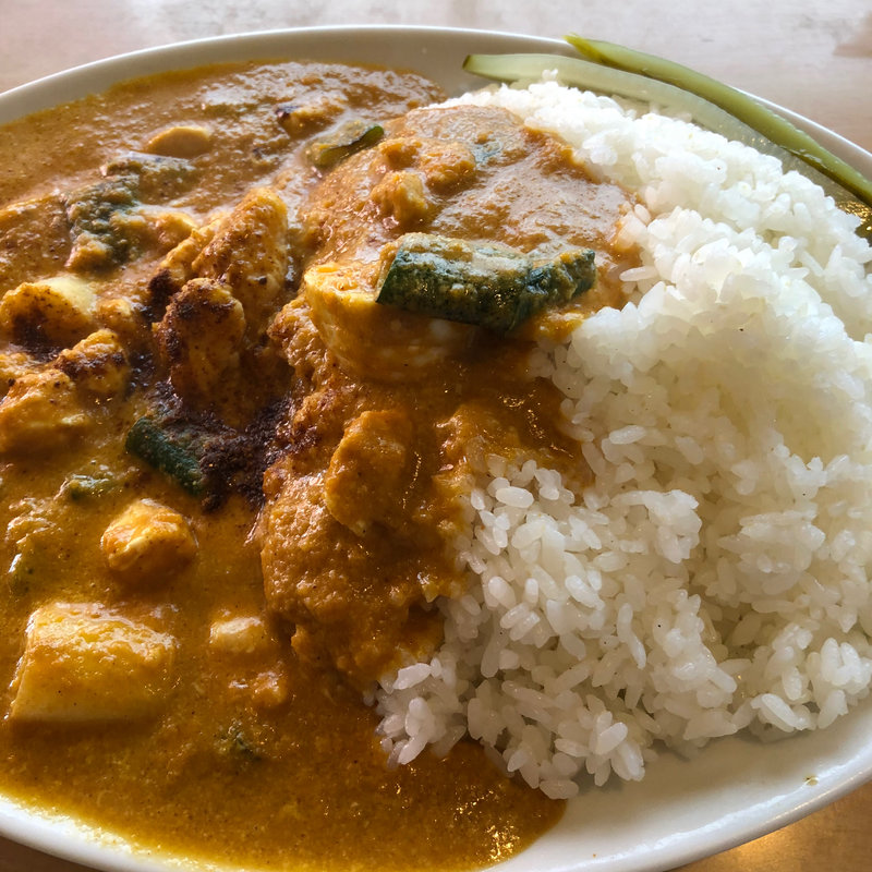 長ネギとチキンのイエローカレー(ロージナ茶房 （ロージナサボウ）)