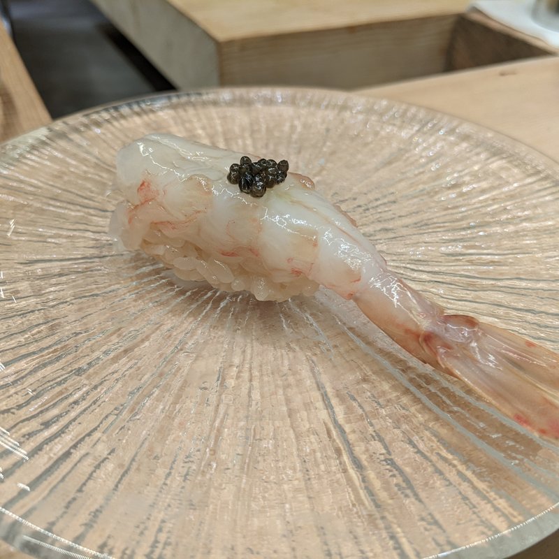 ボタン海老(鮨よしかわ 麻布十番)