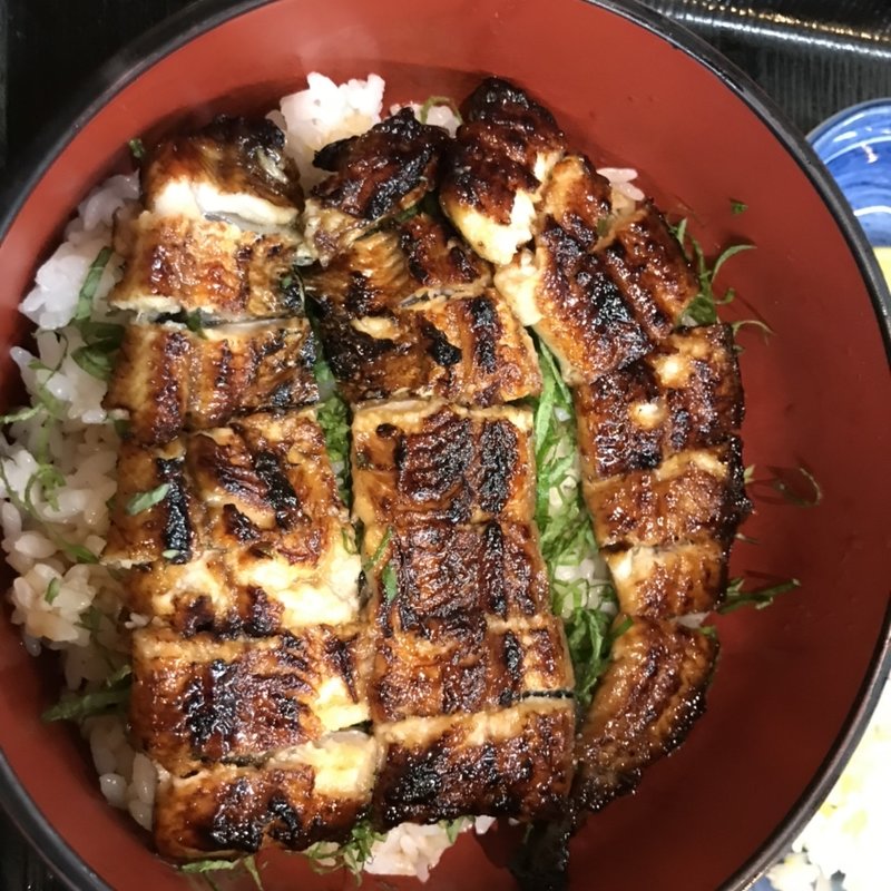 うな丼(うな菊 大船店)