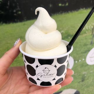 北海道牛乳と卵のバニラソフトクリーム(円山ジェラート　蒲田店)