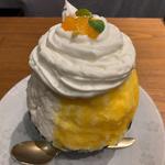 酒粕甘酒デコポン氷