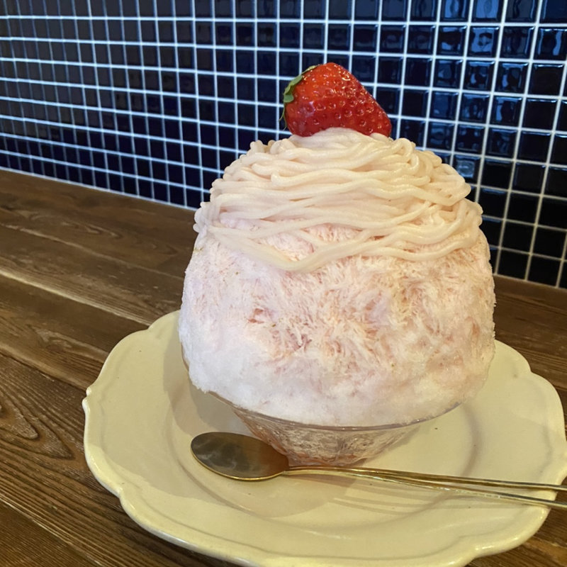 さくら(ヨリドコロヒヨリ)