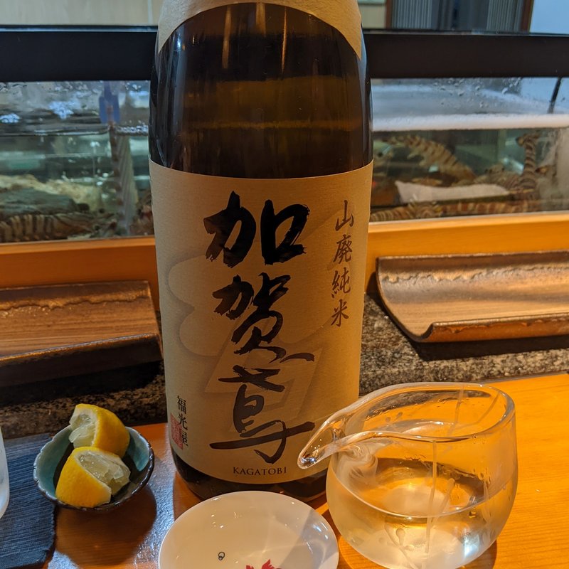 加賀鳶(若大将 )